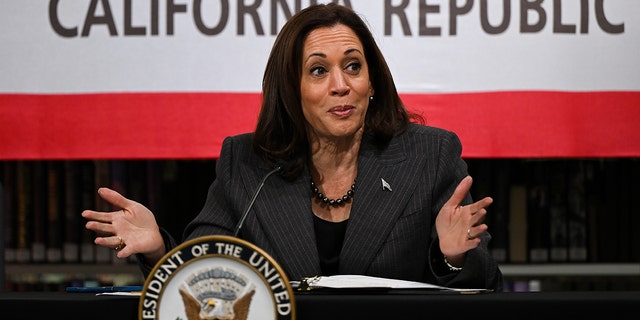 Vice President Kamala Harris delivers remarks at the Asian American Pacific Islander Roundtable at Chinatown Him Mark Lai Library in San Francisco on March 3, 2023.